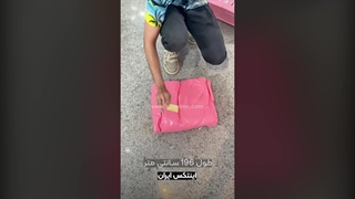 شناور بادی مدل فلامینگو