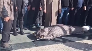 فیلم چاقو خوردن هانی کرده در بهشت زهرا