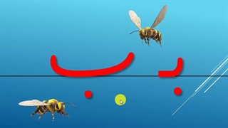 فیلم تدریس نشانه پ - میلاد مقیم بیگی- کلاس اول دبستان