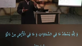 سایه هم آگاهانه، سجده خاضعانه داره برا خدا... سوره نحل (48 و 49)