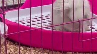 ویدیو رضایت مشتری عزیزمون از تهران