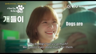 تیزر سریال کره ای یک روز خوب برای سگ بودن
