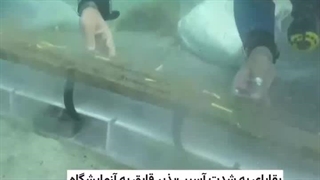 زامبراتیا؛ کشف و مرمت قدیمی ترین قایق دست دوز جهان