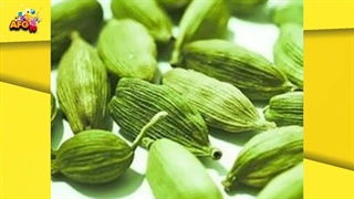 طریقه کاشت هل سبز در منزل