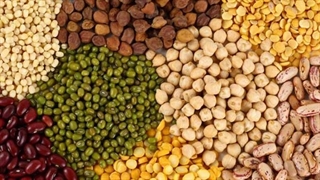 خبر مهم وزارت کشاورزی / قیمت حبوبات گران می‌شود؟