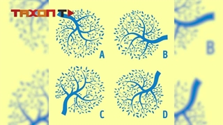 دقت مغز ما چقدر است ؟