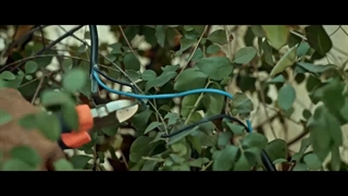 دائلودرایگان سریال کرگدن