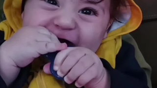 دندانگیر نوزاد-دندان گیر تمام سیلیکونی برند ناوی