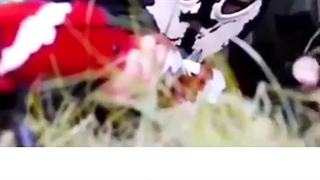 فکر کنم نابود شد.....