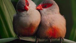 امشب هم‌دیگه رو دعا کنیم♧