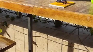 طراحی لوگو مینیمال _ مای ممبر _