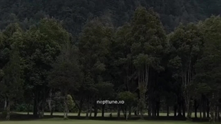 حرفایی که میخوام بهشون بزنم ولی نمیتونم><