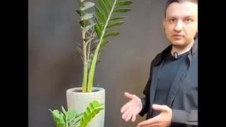 بهترین زمان تعویض خاک گلدان برای گیاهان آپارتمانی