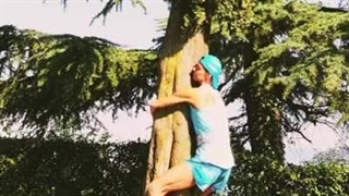 بغل کردن درخت توسط شاگردان شائولین