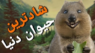 موجودی که به شادترین جانور دنیا معروفه!