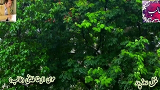 هدیه روز پدر  به مناسبت میلاد حضرت امام علی علیه السلام و روز پدر از غزلیات دیوان عشق استاد غزل موسی الرضا طایفی (طالب اردبیلی)