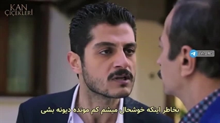 سریال گل های خونی قسمت 237 زیرنویس فارسی