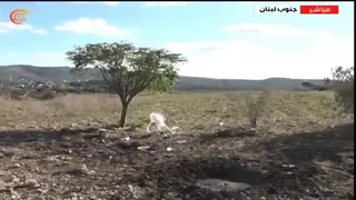 مشاهد من مکان استهداف الزمیلین فی قناة المیادین فرح عمر وربیع المعماری