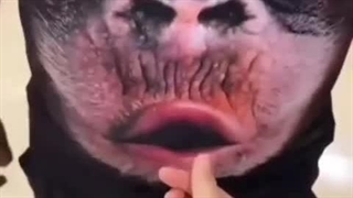 کلیپهای شاد و طنز شمالی