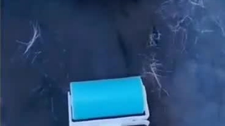 پرزگیر ژله ای شگفت انگیز - پرزگیر سگ و گربه مدل رول دائمی قابل شستشو - پت شاپ حامی پت