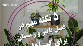 آموزش نگه داری گیاه در فصل زمستان و پاییز (سورن بام)