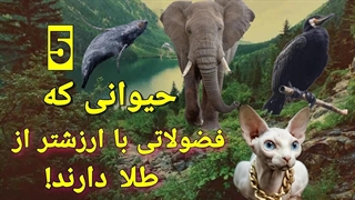 حیواناتی با سودهای میلیون دلاری!!! 