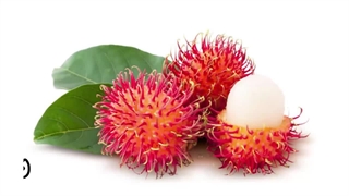 عجیب ترین میوه های کمیاب جهان | این میوه هارا تا به حال ندیدید 