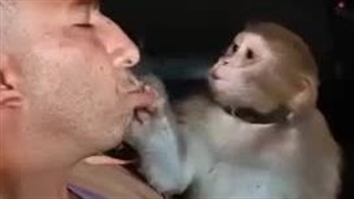 کلیپهای شاد و طنز شمالی