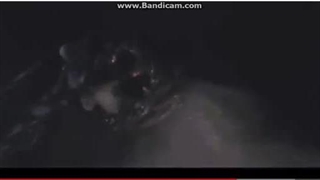 Godzilla vs Gamera final fight.