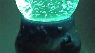 گوی موزیکال خارجی_100