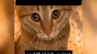 مامانم نتو خاموش میکنه که بخوابم/ مود من که من انیمه رو از قبل دان کردم: