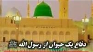 داستان عجیب دفاع یک سگ از پیامبر اسلام