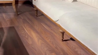 مبل اقساطی بازنشستگان در کرج %اقساط 24 ماهه بدون بهره