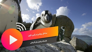 ساحل بولدرز آفریقای جنوبی