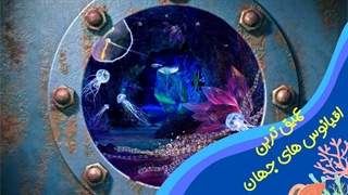 عمیق ترین نقطه اقیانوس کجاست؟