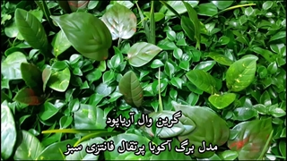 گرین وال آریاپود مدل برگ آکوبا پرتقالی فانتزی سبز