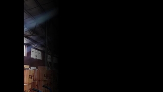 پخش از انبار کاغذ دیواری