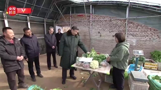 دیدار شی جین پینگ با کادرها و توده‎های مردم شهر تیان جین در آستانه عید بهار