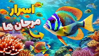 معجزه‌های مخفی صخره‌های مرجانی