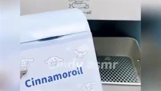 Korean cute room with cinnamoroll theme