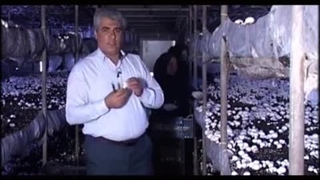 آموزش قارچ 3