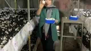 پرورش قارچ 5