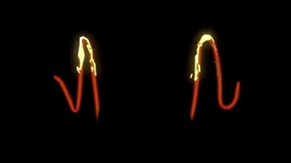 انیمیشن کوتاه*cat and moth*