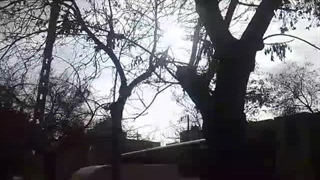 علی اکبرتیموری‌ ولاگ‌ یک بوم و‌ دو هوا ۱۲ بهمن۱۴۰۲