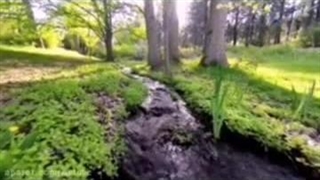 غزل پل لرزان تقدیر شاعر مجید مومن تدوین ودکلمه بانو کامله منصوری