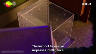 تیزر سریال ما همه مرده ایم