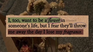 پروانه کوچک من">>کپشن"