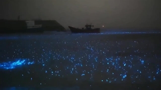 میخوام جای اون کشتی باشم:>>>>"