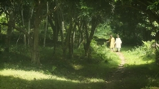 افسانه دوستی پریان:>>>"