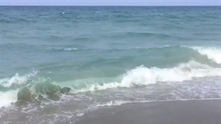 من این بهشتو میخوام:>>"